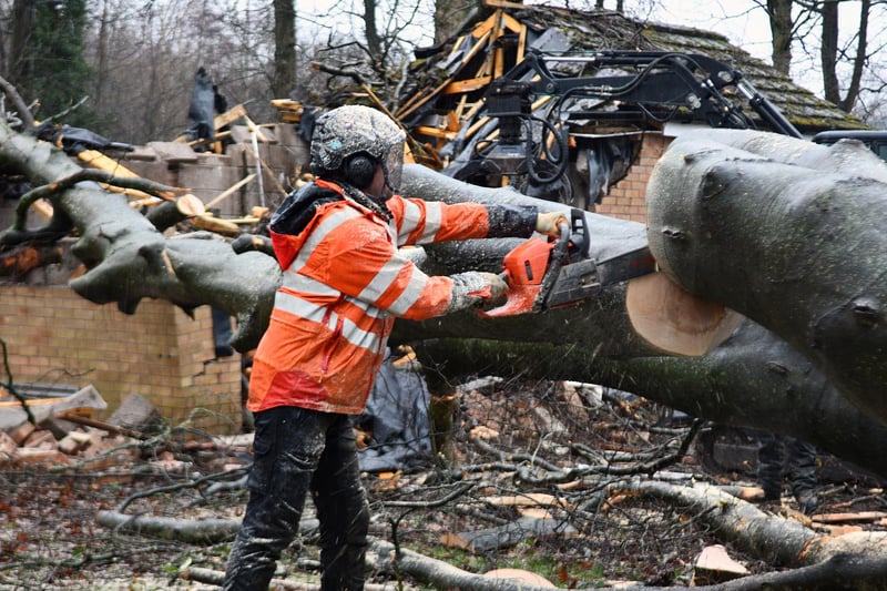 The large 150-year-old beech tree had been uprooted by strong winds of Storm Isha and landed on the sub station.
