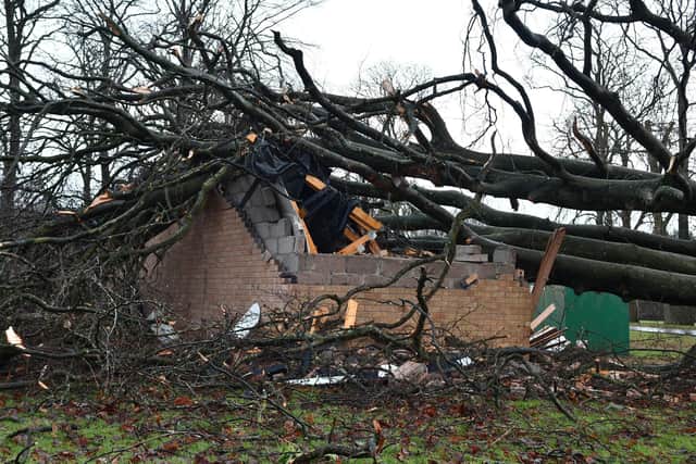The sub station that supplies power to Kinnaird was hit by a fallen tree. Pic: Michael Gillen