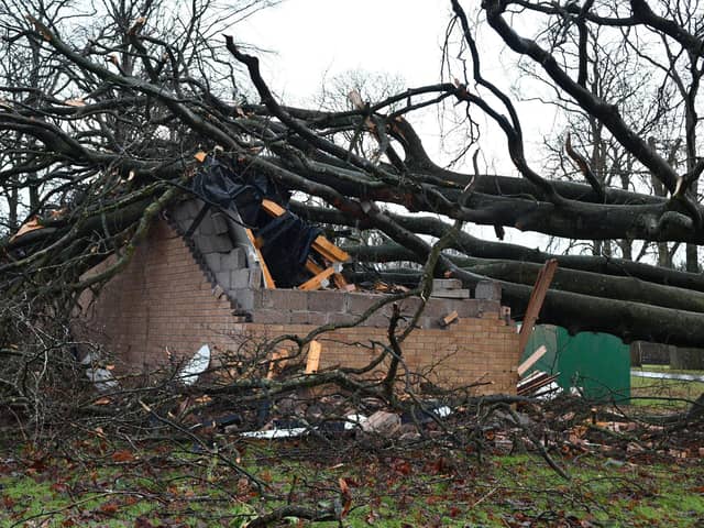 The sub station that supplies power to Kinnaird was hit by a fallen tree. Pic: Michael Gillen