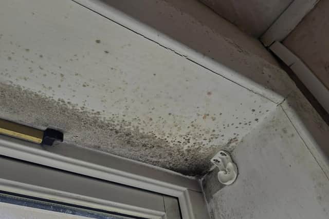 Damp round a window frame in the Camelon flat. Pic: Contributed