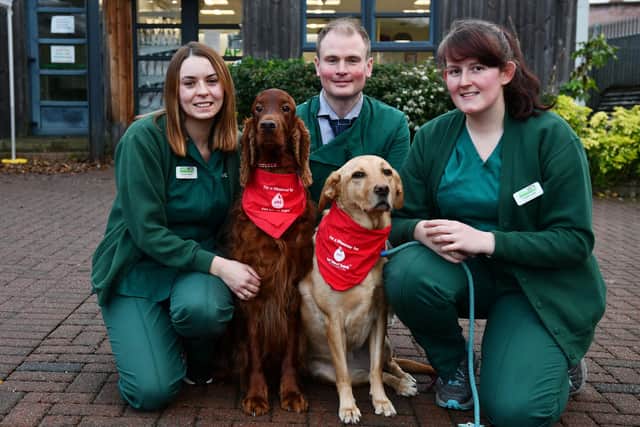 Chloe Green and Irish setter Jeffrey, Doug Paterson, vet and Fiona Laing with Labrador Truffs. Picture: Michael Gillen
