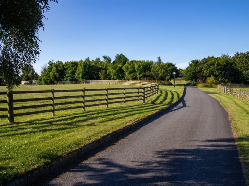 Driveway.