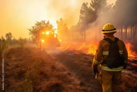 Wildfires have been prevalent across mainland Europe and even the islands in the Mediterranean. Photo: Adobe