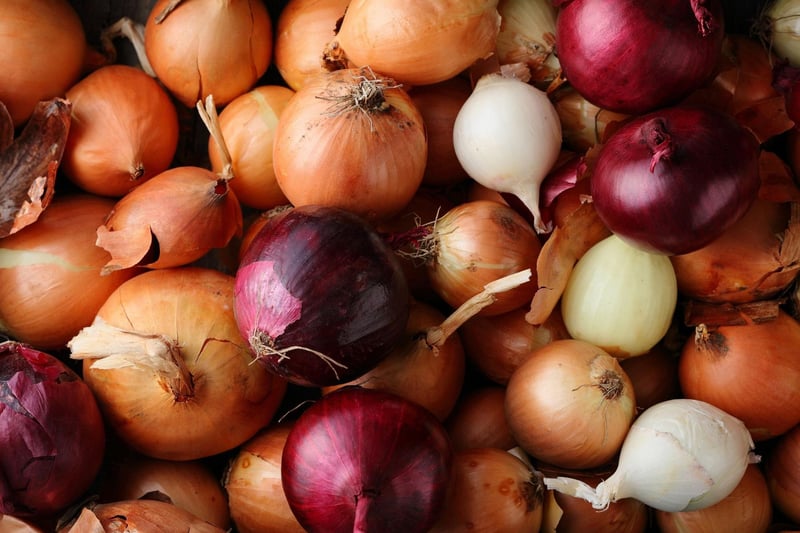 All members of the Allium family, including onions and chives, are poisonous to dogs. Symptoms include nausea and vomiting, abdominal pain, diarrhoea. and in severe cases, anaemia and organ damage. 70 per cent of people were unaware of their toxicity.
