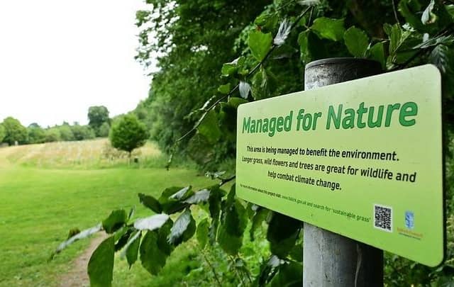 Sustainable grass management project at Falkirk Council is in running for national award. Pic: Falkirk Council.