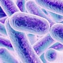 Some 57 people, mostly young children, have become infected with salmonella in an outbreak linked to Kinder Surprise eggs.