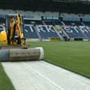 Replacing Falkirk's plastic pitch could be on the cards if the Bairns managed a double promotion (Photo: Michael Gillen)