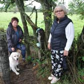 Jackie MacKay, pictured with Golden Retriever Hughie and friend June Watson, has been left "disgusted" after finding dog waste bags while walking at Little Denny Reservoir. Picture: Michael Gillen.