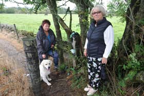 Jackie MacKay, pictured with Golden Retriever Hughie and friend June Watson, has been left "disgusted" after finding dog waste bags while walking at Little Denny Reservoir. Picture: Michael Gillen.