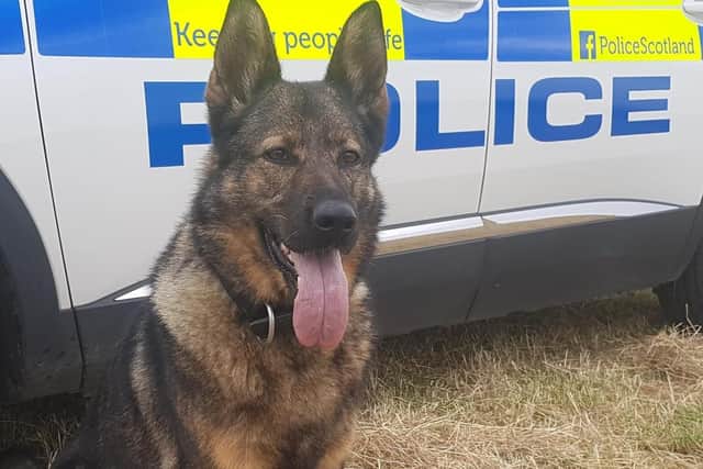 Police Dog Luna has hung up the harness after a decade of dedicated service