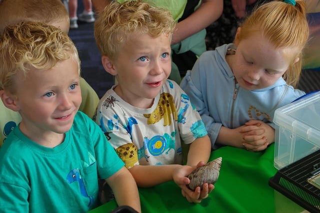 In pictures: Everyone enjoying Denny Library Community Day