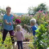 Fife venues are part of the summer garden festival