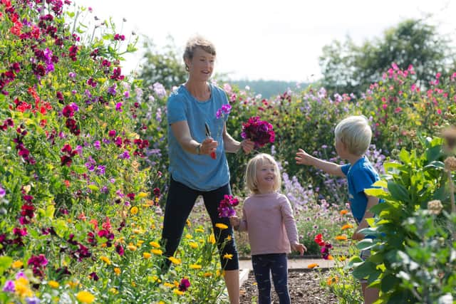 Fife venues are part of the summer garden festival