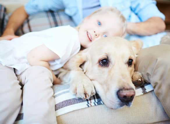 Some breeds of dog tend to form an extra-special bond with the younger members of the family.
