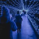 Starry Nights Illuminated Christmas Experience is coming to Beecraigs.