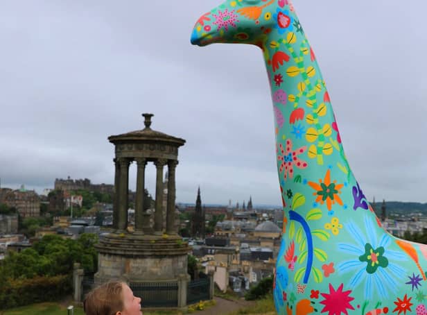 Colourful giraffe sculptures will take to the streets of the Capital next year.