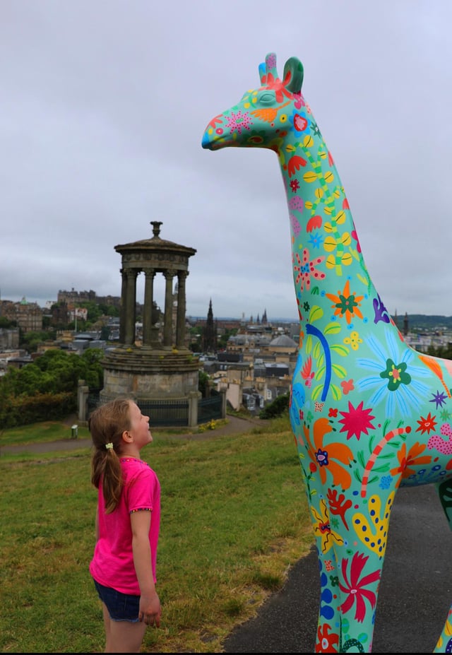 Colourful giraffe sculptures will take to the streets of the Capital next year.