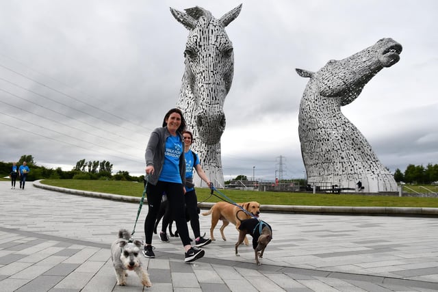 And it wouldn't be a sponsored walk without a four-legged friend ... or three