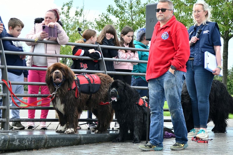 Some dogs just take to emergency rescue situations like ducks to water 
(Picture: Michael Gillen, National World)