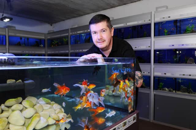 Turtles were stolen from Longcroft's Central Aquatic pet shop, owned by Jason Frew (pictured). Picture: Michael Gillen.