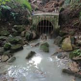 Dean Burn pollution due to people flushing away wet wipes and other non-biodegradable products