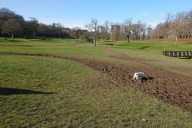 The cycle trails would go next to the nine-hole golf course if funding is found