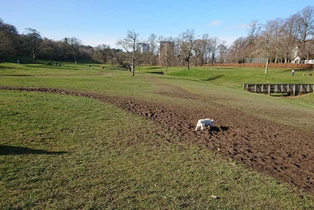The cycle trails would go next to the nine-hole golf course if funding is found