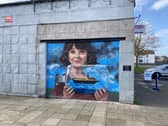 Donna Forrester has now completed the second mural in Charlotte Dundas Court  (Picture: Submitted)