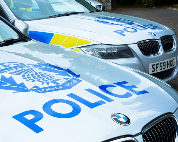 Police are investigating the M9 crash which left a motorist in a critical condition
(Picture: Submitted)