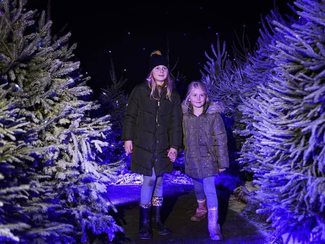 Marcie Lochrie (8) and Tallulah Lochrie (5) very much enjoyed their Christmas Experience. (Pics: Ian Georgeson)