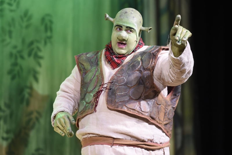 Darren Tasker looking a little green as the star of Shrek the Musical