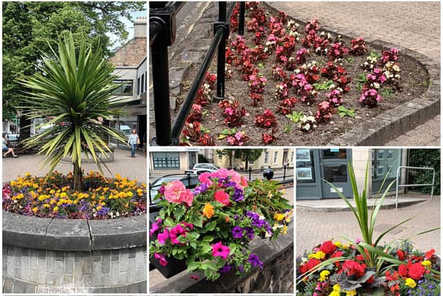 Floral displays in Stirling are colourful compared to those in Falkirk.