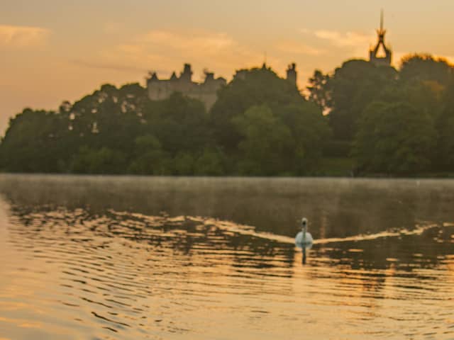 Avian flu case confirmed in swan at the loch. (Pic Paul Watt/WLC)