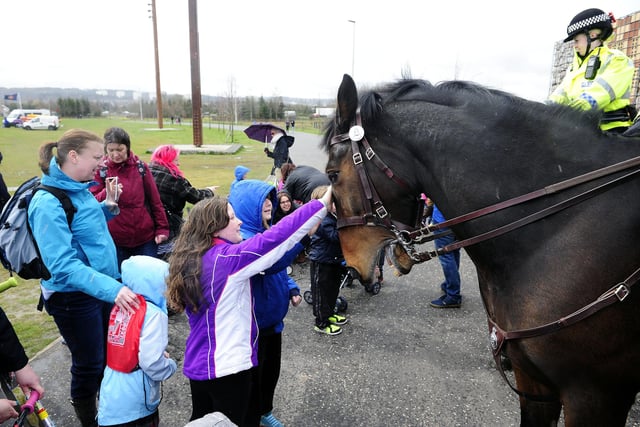 A chance to meet police horse, Inverness at Emergency Services Day 2016.