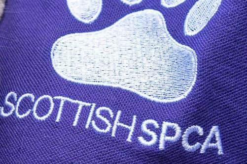 Scottish SPCA has warned people to be on their guard after reports of bogus workers pretending to be from the animal welfare charity