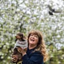 Janey Godley (Pic: John Devlin)