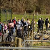 Muiravonside Country Park is popular with families. Pic: Alan Murray
