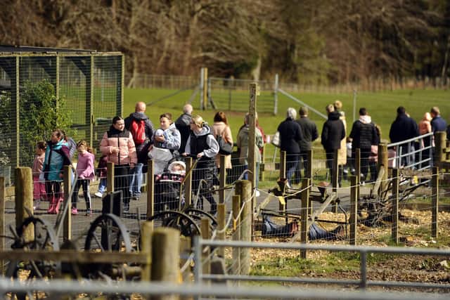 Muiravonside Country Park is popular with families. Pic: Alan Murray
