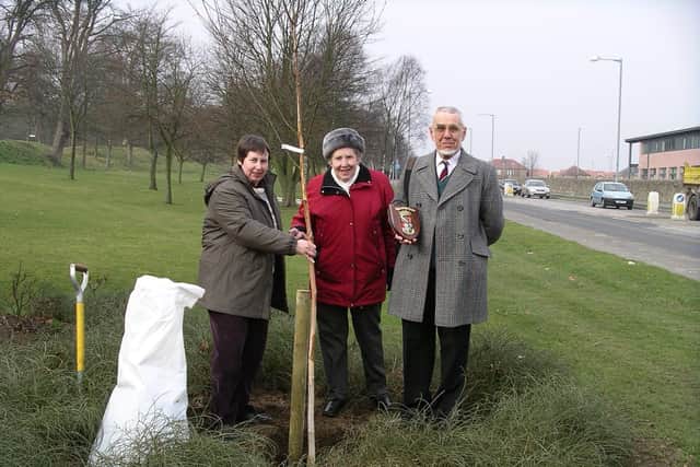 A Himalayan birch tree planted in the grounds of Callendar Park to mark the centenary of  Falkirk Archaeological and Natural History Society in 2003. Pictured left to right, Alison Melville, then president; Jenny Service, honorary vice president; and Francis Scott, then secretary, holding a commemorative shield presented by Falkirk Council at the time of the centenary. Pic: Contributed