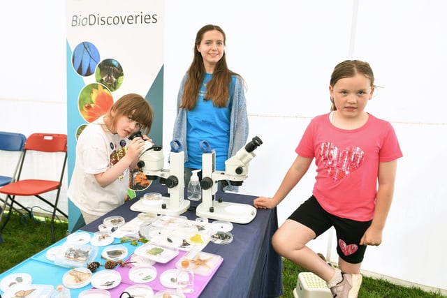 Looking under the microscope.