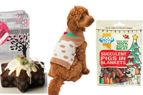 There are plenty of fun products to treat your pet this Christmas.