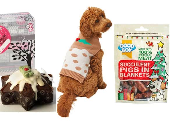 There are plenty of fun products to treat your pet this Christmas.