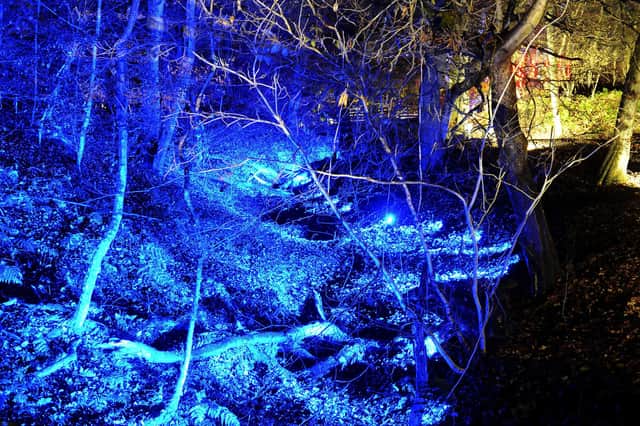 Rough Castle Experiences previously lit up the woodland at Rough Castle, near Tamfourhill, when it held a Legion display on the Romans. Picture: Michael Gillen.