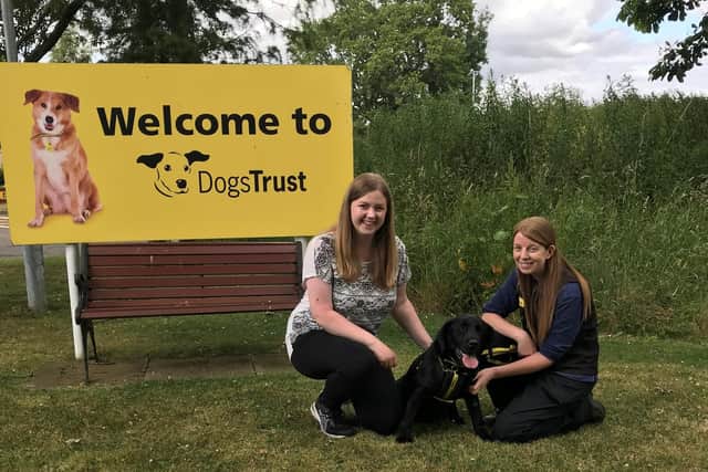 Green MSP Gillian Mackay visits Dogs Trust West Calder and meets Arthur and assistant manager administration Kim McNeill