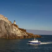 The Bass Rock is a haven for many species of seabirds