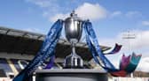 The SPFL Trust Trophy final took place at the Falkirk Stadium last season (Photo: Craig Foy/SNS Group)