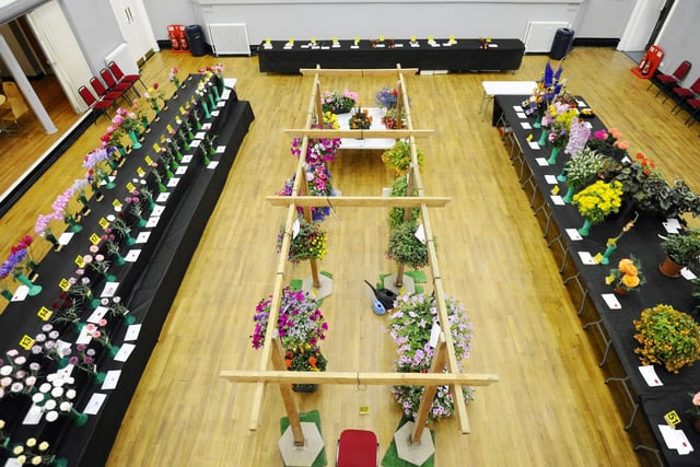 The society's first show of the year took place on Saturday at Grangemouth Town Hall.