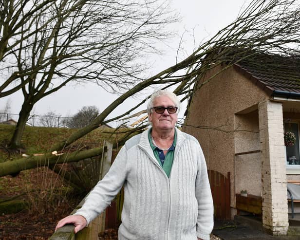Jim Jarvie had a tree land on his bungalow, damaging the roof and bringing down the fence - which he is still waiting to be repaired. Pic: Michael Gillen