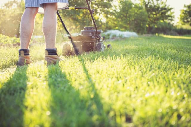Lawn woes - New research from Pelsis Doff reveals Scotland's biggest lawn care struggles