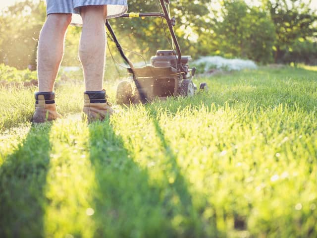 Lawn woes - New research from Pelsis Doff reveals Scotland's biggest lawn care struggles